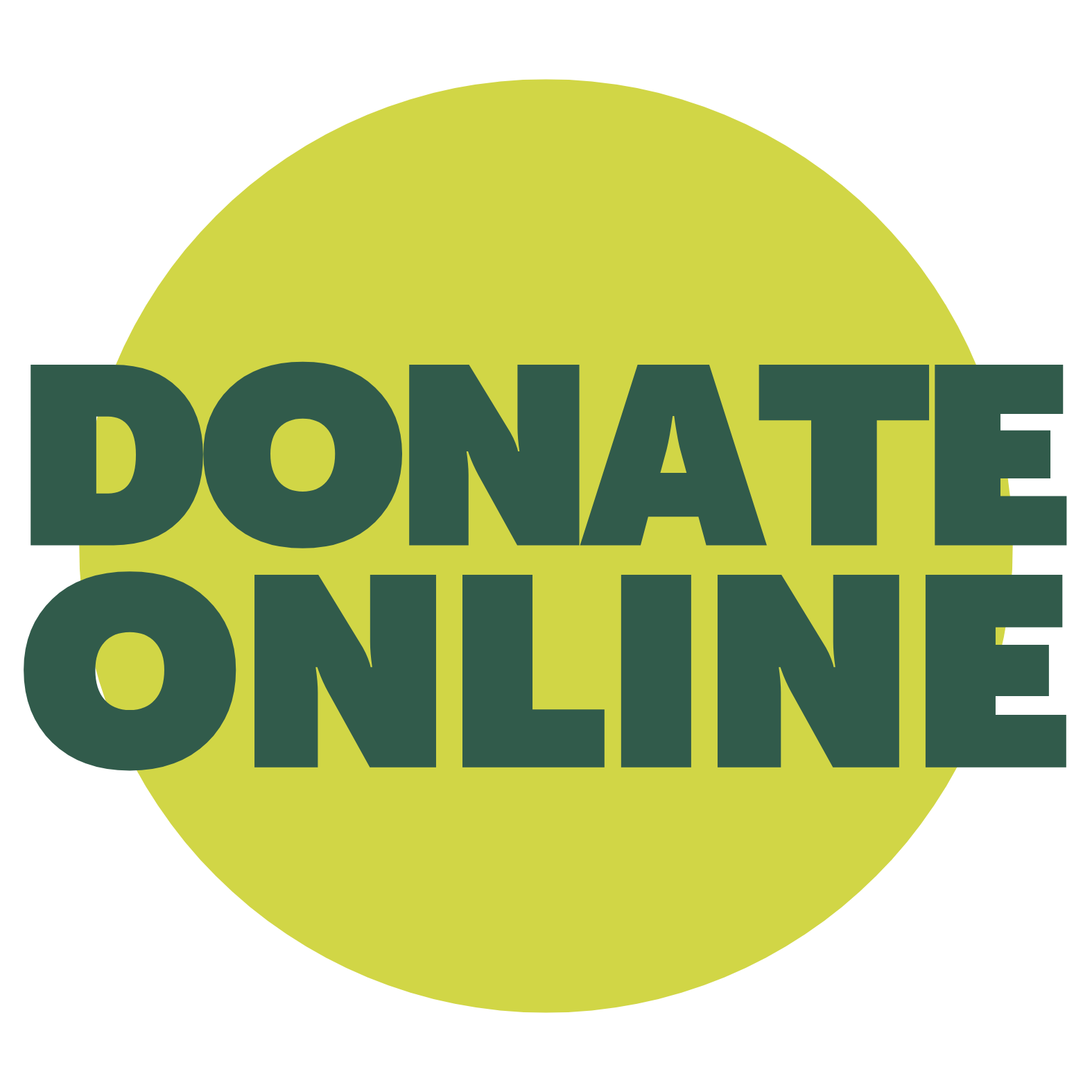 donate online