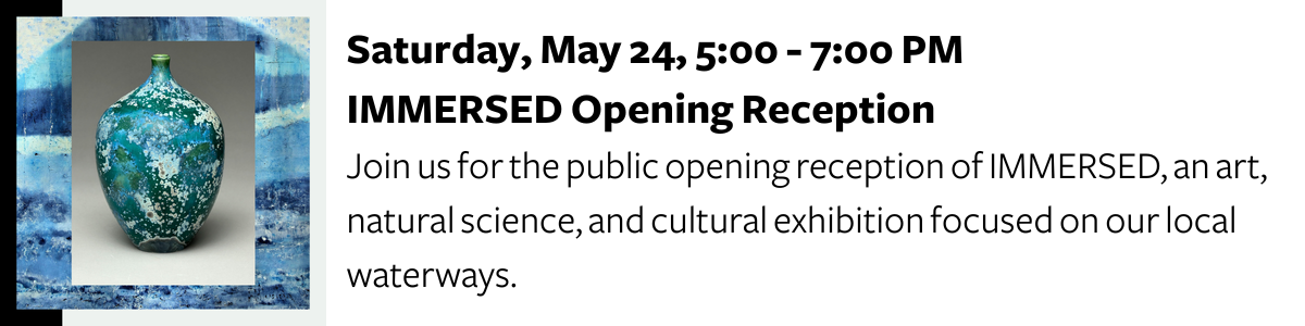 Opening Reception