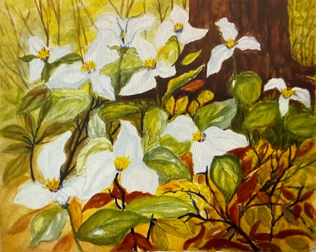 Jo Carol Burgard