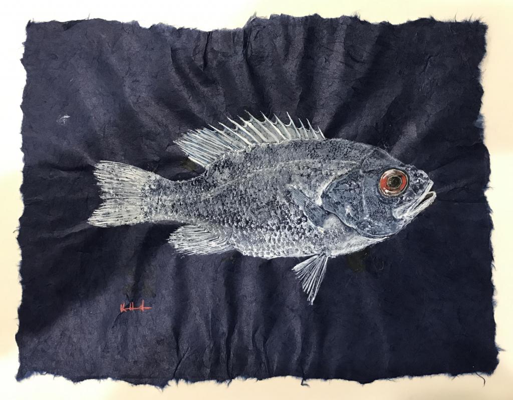 Rock Bass gyotaku fish print white ink on blue rice paper