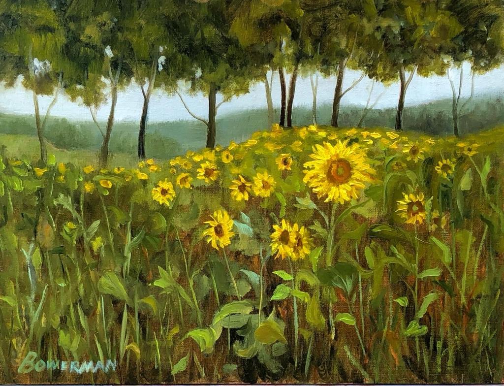 Oil on linen panel painted on a foggy morning across the field of sunflowers.