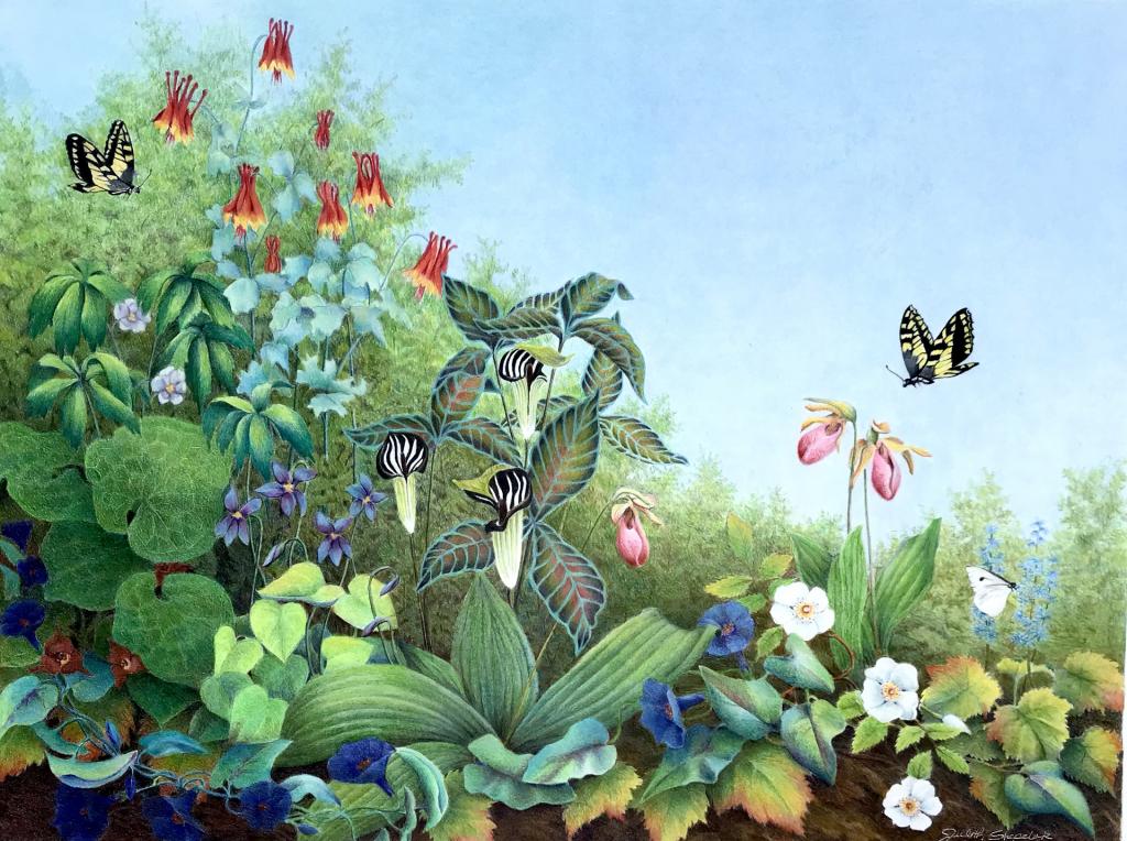 2021, Colored Pencil, 18"Hx24"W