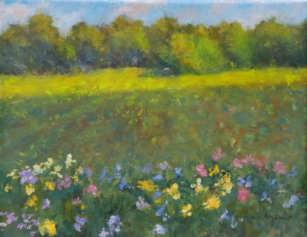 Sunny in the end of the field