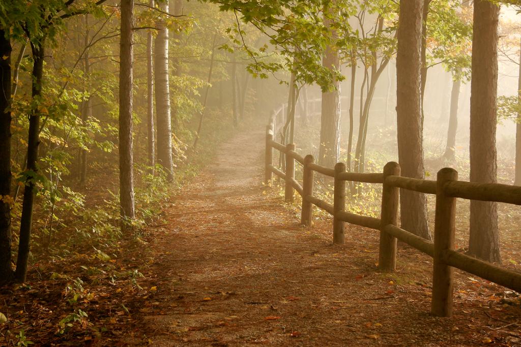 North Country Trail at High Tollways