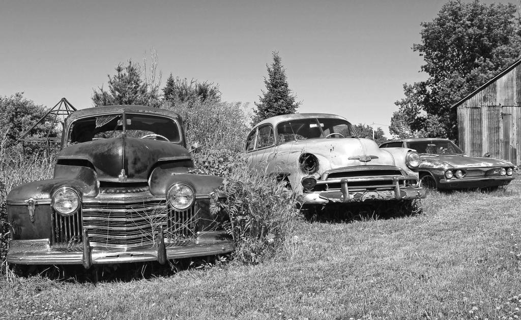 Three old cars in a local junk yard.