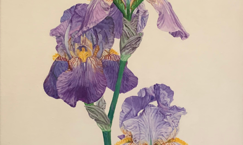 Image Detail