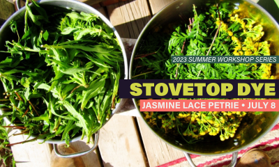 Stovetop Dye with Jasmine Lace Petrie