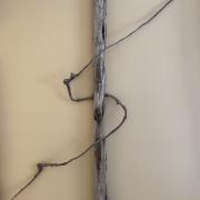 Found driftwood