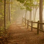 North Country Trail at High Tollways