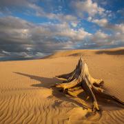 Silver Lake Dunes State Park, Michigan -- 2016. Unmatted prints available many sizes. Consult artist.